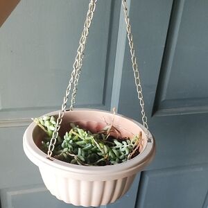 Hanging Planter